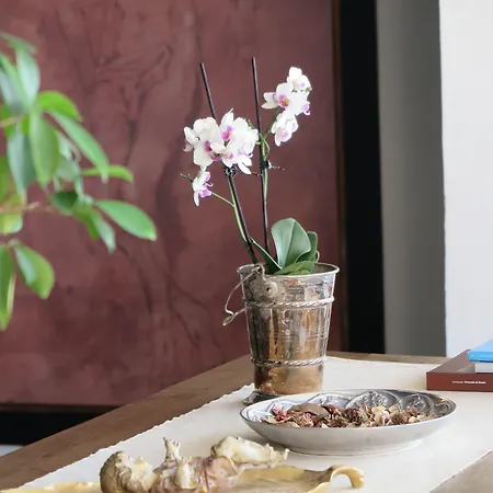 Solar De Santa Maria Pensionat Bragança