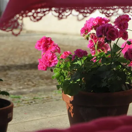 Solar De Santa Maria Bragança