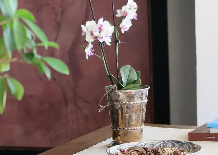 Solar De Santa Maria Gasthuis Bragança