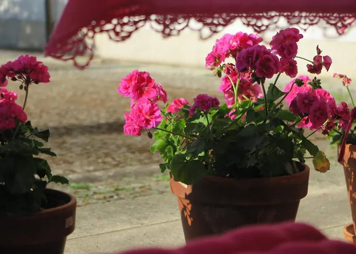 Solar De Santa Maria Bragança